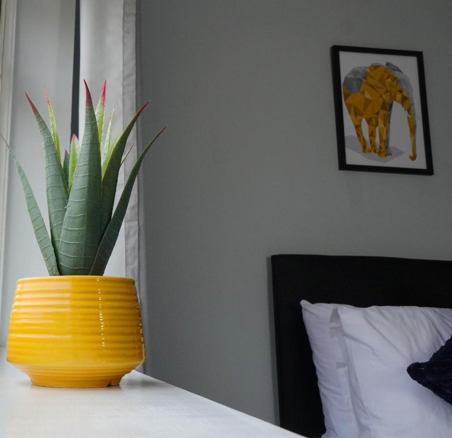 Portobello House - Four Bedroom House Perfect For Contractors - Sleeps 6 - Free Parking Wolverhampton Eksteriør billede