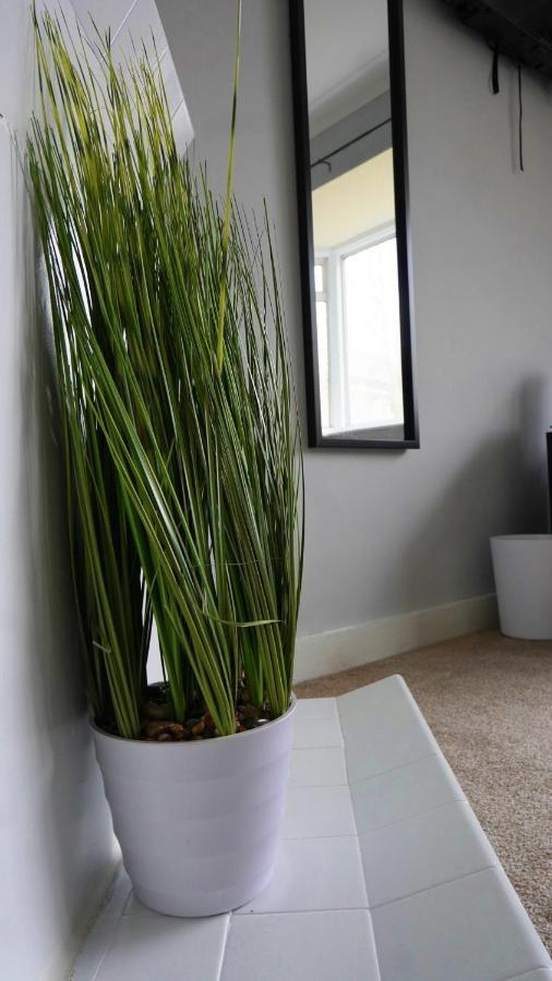 Portobello House - Four Bedroom House Perfect For Contractors - Sleeps 6 - Free Parking Wolverhampton Eksteriør billede